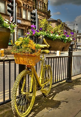 自行車,花框,花海