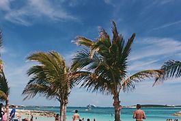 海,海洋,水