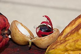 食品,水果,健康