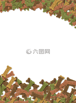 寵物,狗,朋友