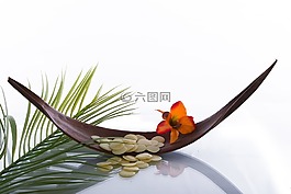 健康,開花,放寬