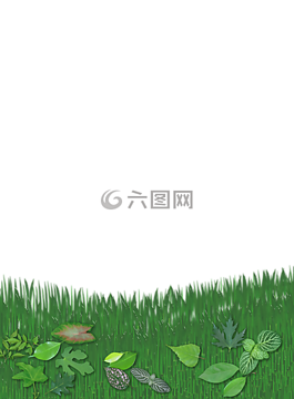 葉,性質,草