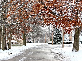 冬天,雪,路