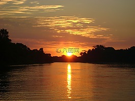 湖,森林,樹