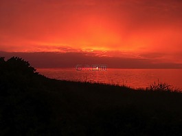 海,海洋,水