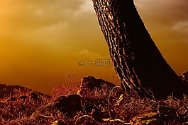 日落,性質(zhì),天空