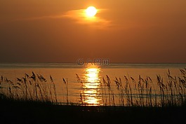 海,海洋,水