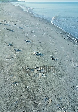 海灘,沙,海洋