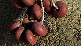 浮動(dòng),蚊帳,釣魚