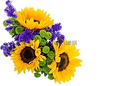 花,夏天,春