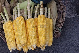 玉米,街,出售
