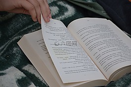 書,讀取,教育