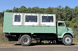 運(yùn)輸,吉普車,野生動(dòng)物園