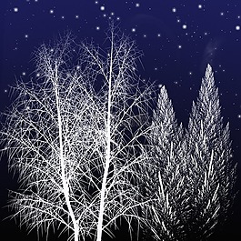 景觀,冬天,白