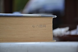 書,讀取,教育
