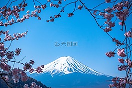 山,高原,藍色
