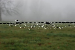 霧,濕,雨