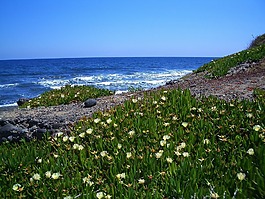 法國,海,海洋