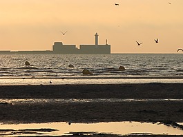 景觀,海,沙
