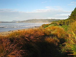 新西蘭,海,海洋