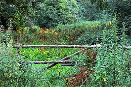 字段,目標(biāo),性質(zhì)