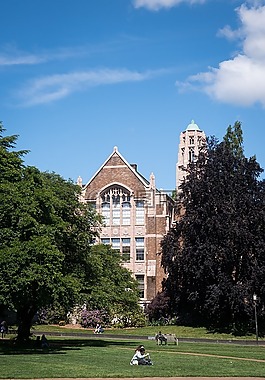 大學(xué),草,天空