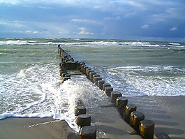 海,海洋,水