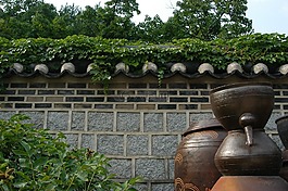 圍欄,章閱讀,章 dogdae