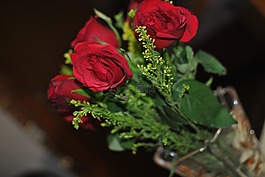 玫瑰,花,紅色