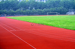 體育,原野,瀝青