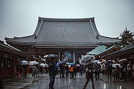 亚洲,人,妇女