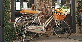 自行車(chē),鮮花,酒店