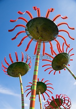 西雅圖,空間針,城市