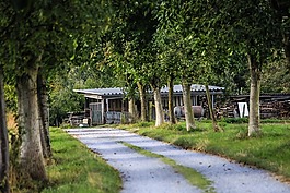 離,景觀,夏季