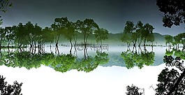 daechung,森林,湖