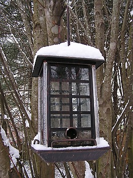 雪,喂鳥器,冬天