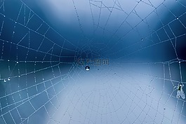 秋季,冬天,露水
