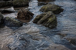 石頭,海,海岸