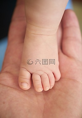 嬰兒,兒童,小