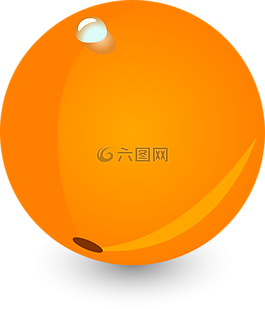 橙色,水果,維生素