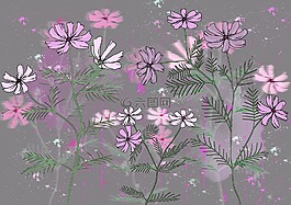 鲜花,背景,壁纸