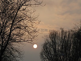 日落,樹木,天空
