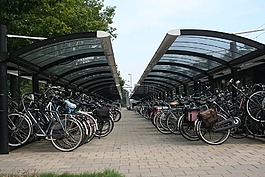 騎自行車,站,自行車