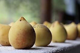 桃,水果,性質(zhì)