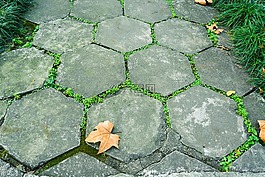 青石板,路,绿草