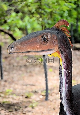 恐龍,動(dòng)物,史前