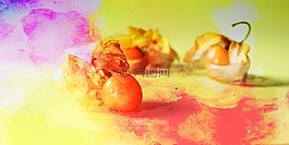 酸漿,食品攝影,金漿果