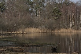 性質(zhì),水,美容