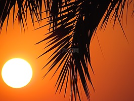 太阳能,在晚上,日落