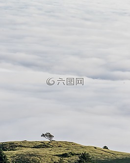 高原,山,小山